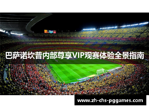 巴萨诺坎普内部尊享VIP观赛体验全景指南
