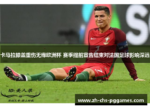 卡马拉膝盖重伤无缘欧洲杯 赛季提前宣告结束对法国足球影响深远 卡马拉膝盖重伤无缘欧洲杯 赛季提前宣告结束对法国足球影响深远